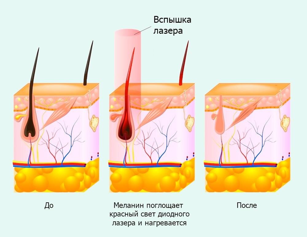 scale_1200 (2).jpg scale_1200 (2).jpg